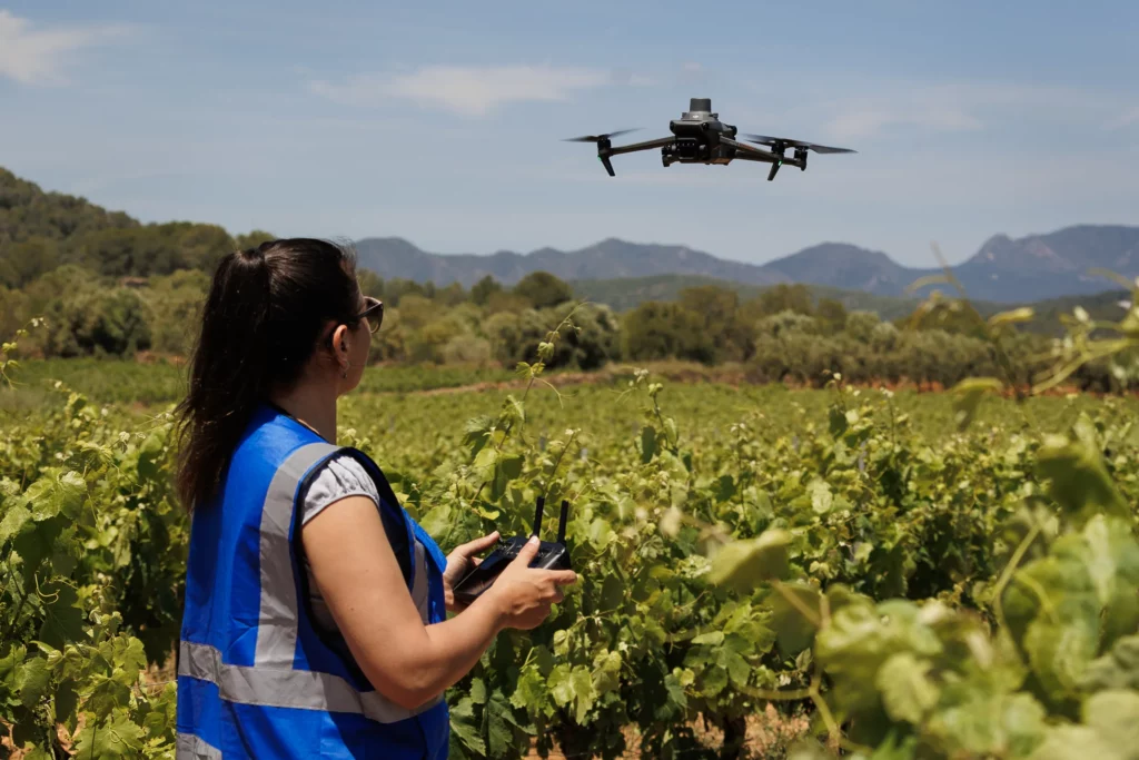 Piloto de drones de Beesual Drone operando en un viñedo con dron en vuelo.